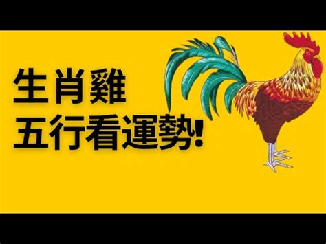 問事100 雞 五行